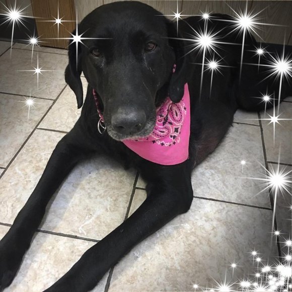 Meet your Posher, Justin - Picture 1 of 1